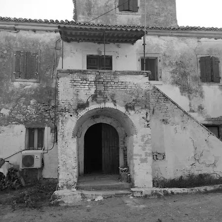 Belvedere Di D'oro 1886